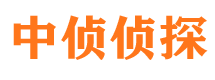 奉新调查公司